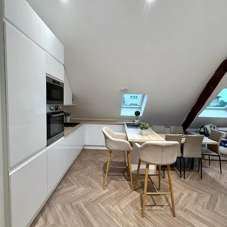 Modern Cocoon Under Roof Parking Close To Tram 아파트 스트라스부르