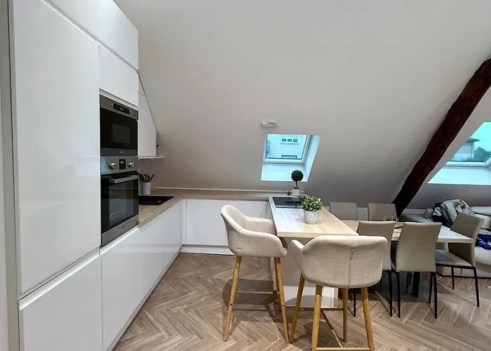 Modern Cocoon Under Roof Parking Close To Tram Apartment Strasbourg